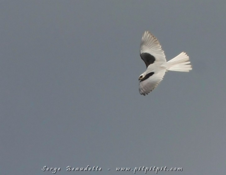 2009-01-10 14-20-41__MG_2412.JPG